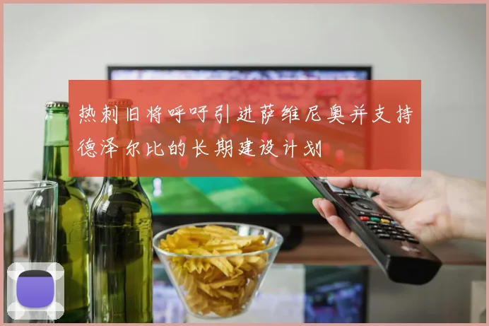 热刺旧将呼吁引进萨维尼奥并支持德泽尔比的长期建设计划