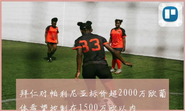 拜仁对帕利尼亚标价超2000万欧葡体希望控制在1500万欧以内